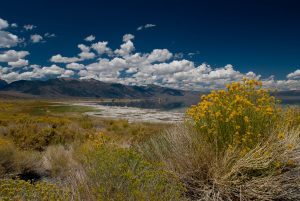 Mono Lake, California